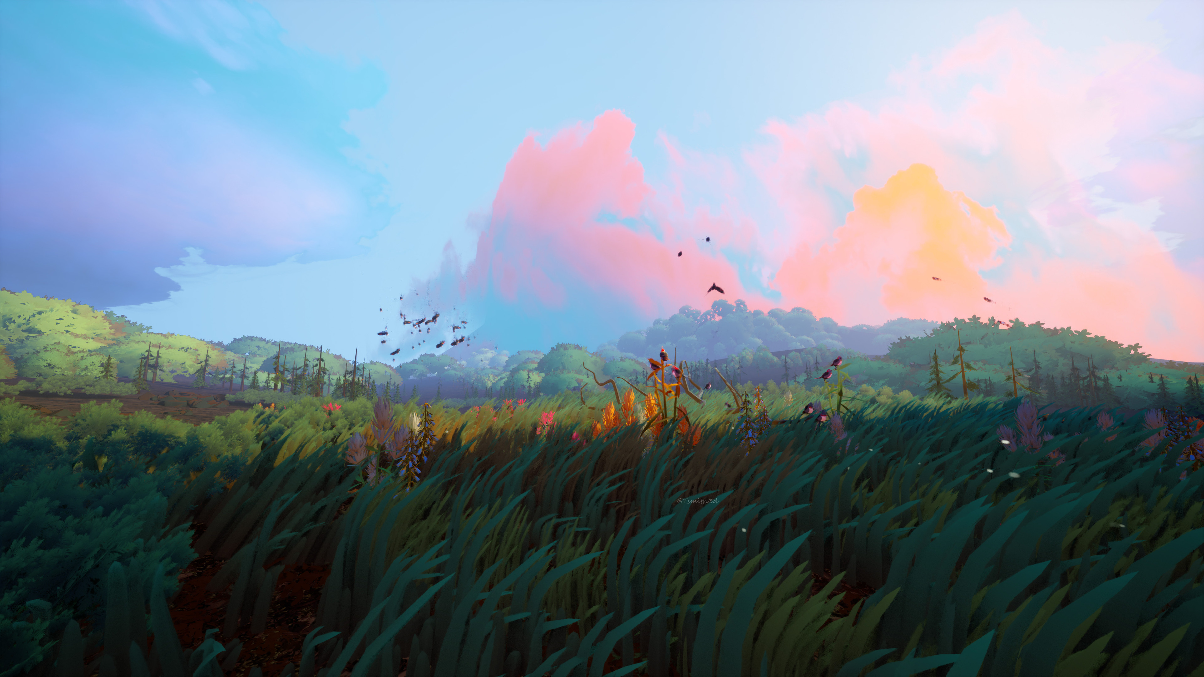 background picture of the home page